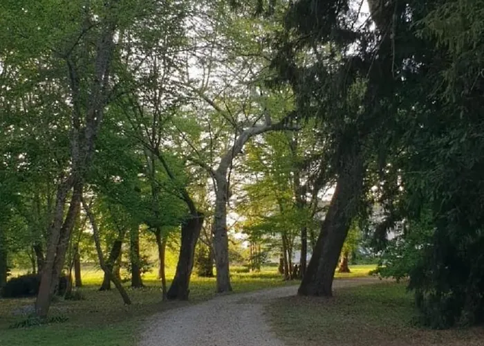 Chateau De Vidasse Gæstehus *